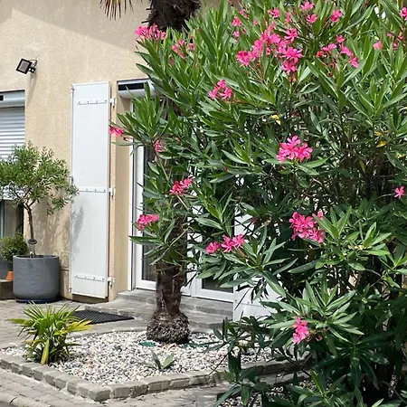 Proche Arcachon, Dune, Plages Holiday home La Teste-de-Buch