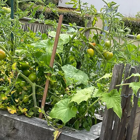 別荘 Proche Arcachon, Dune, Plages *