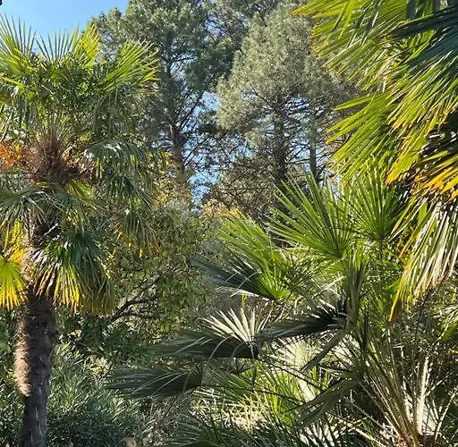 Proche Arcachon, Dune, Plages ラ・テスト・ド・ビュシュ