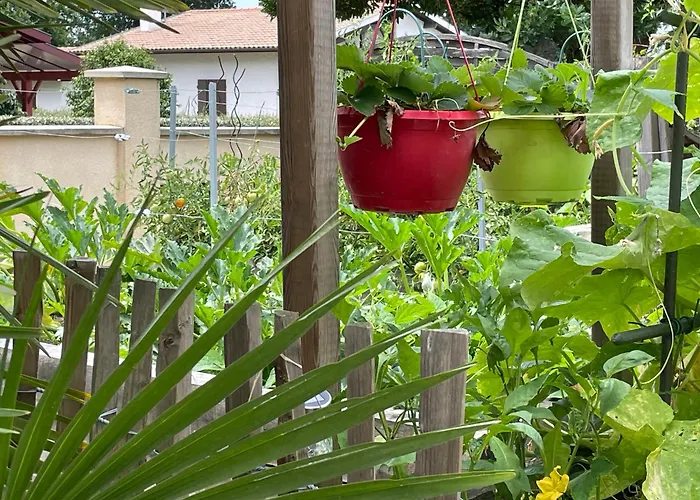 Proche Arcachon, Dune, Plages