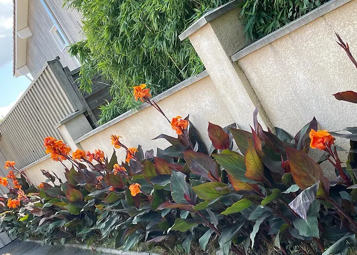 Proche Arcachon, Dune, Plages ラ・テスト・ド・ビュシュ