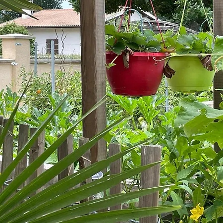 Proche Arcachon, Dune, Plages