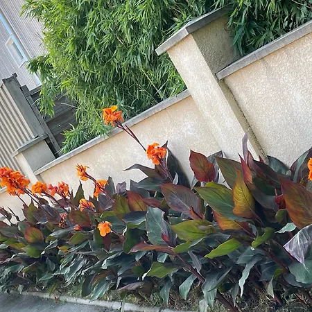 Proche Arcachon, Dune, Plages La Teste-de-Buch