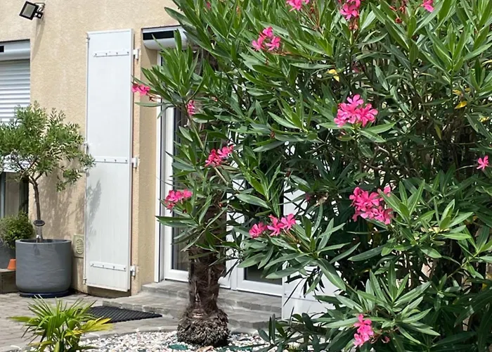 Proche Arcachon, Dune, Plages Feriehus La Teste-de-Buch